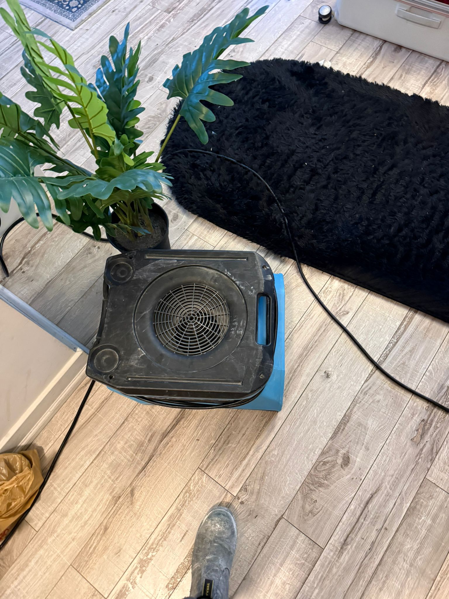 Water damage assessment and moisture mapping