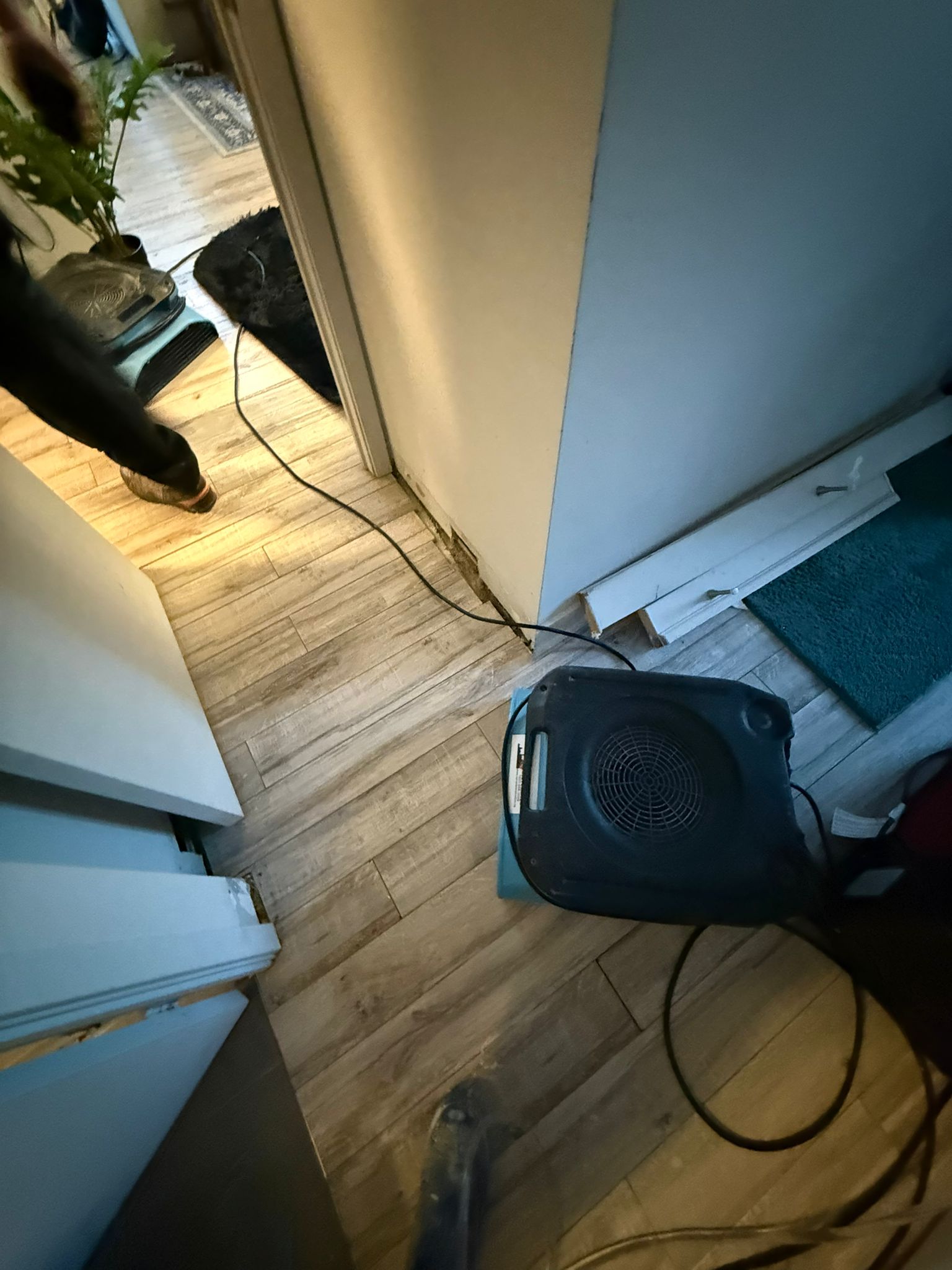 Professional restoration team addressing ceiling water damage