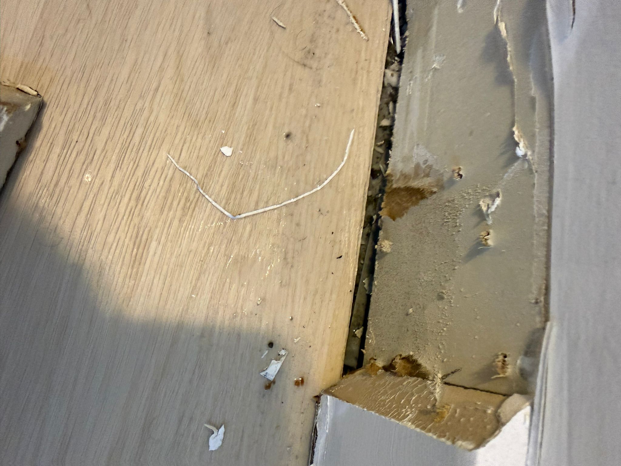 Insulation removal after water damage in bathroom
